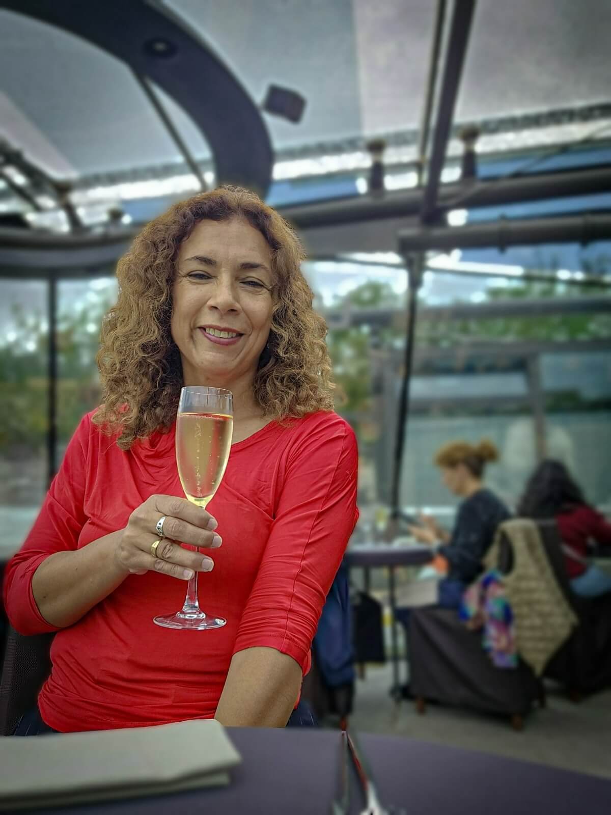 Almuerzo por Mi cumpleaños en Crucero por el Río Sena en París