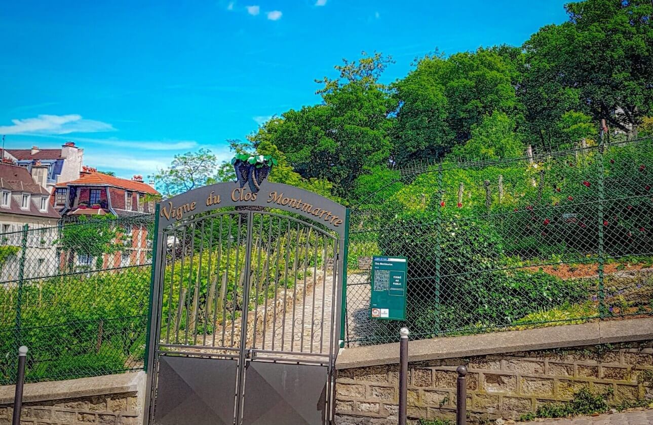 Historia de Clos Montmartre