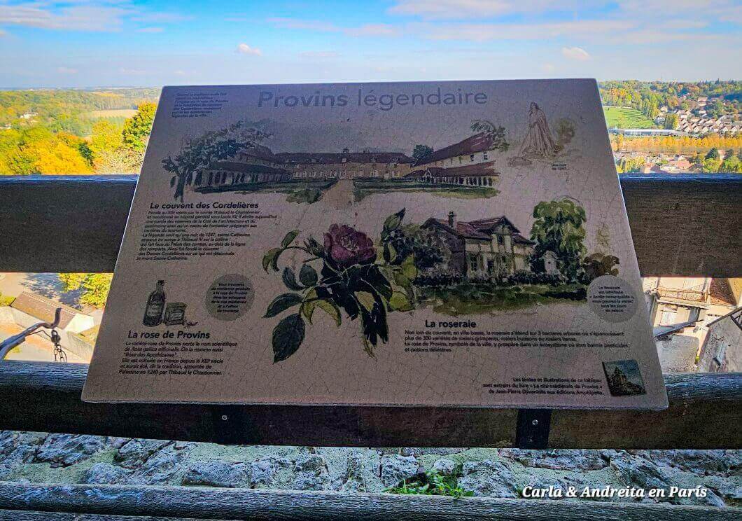 Provins, un cuento medieval a las puertas de París